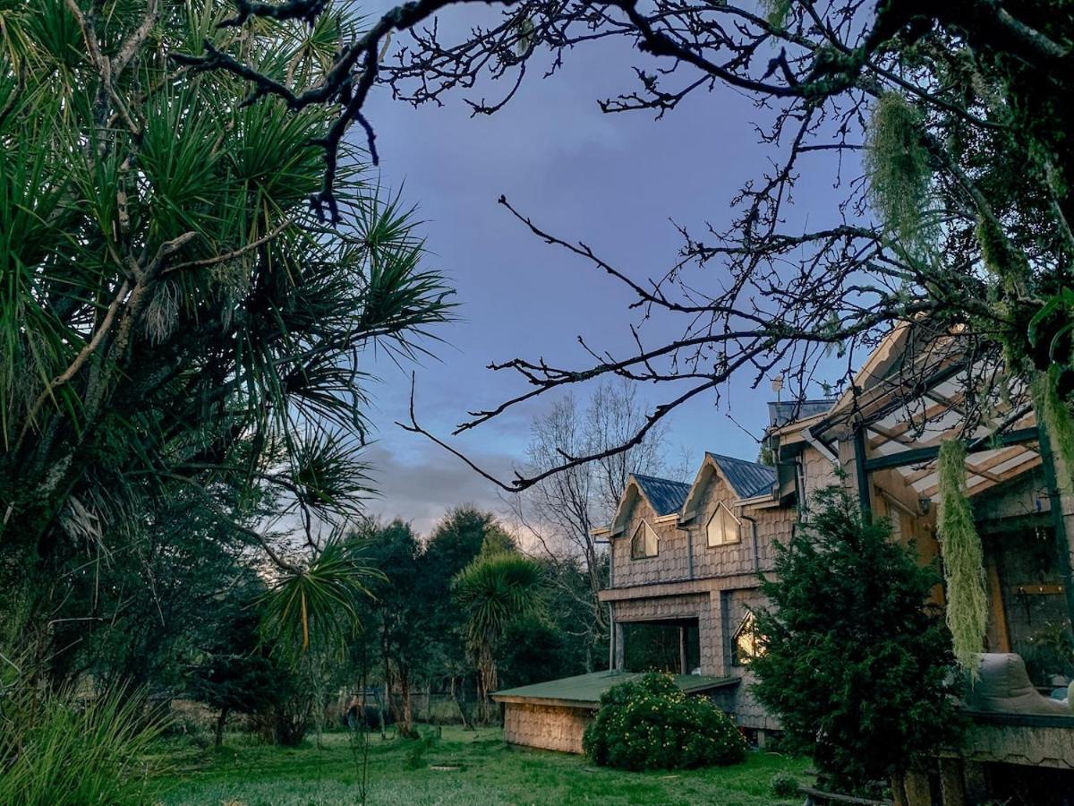 Amazing Ocean Front, Spacious & Private House Pousada *